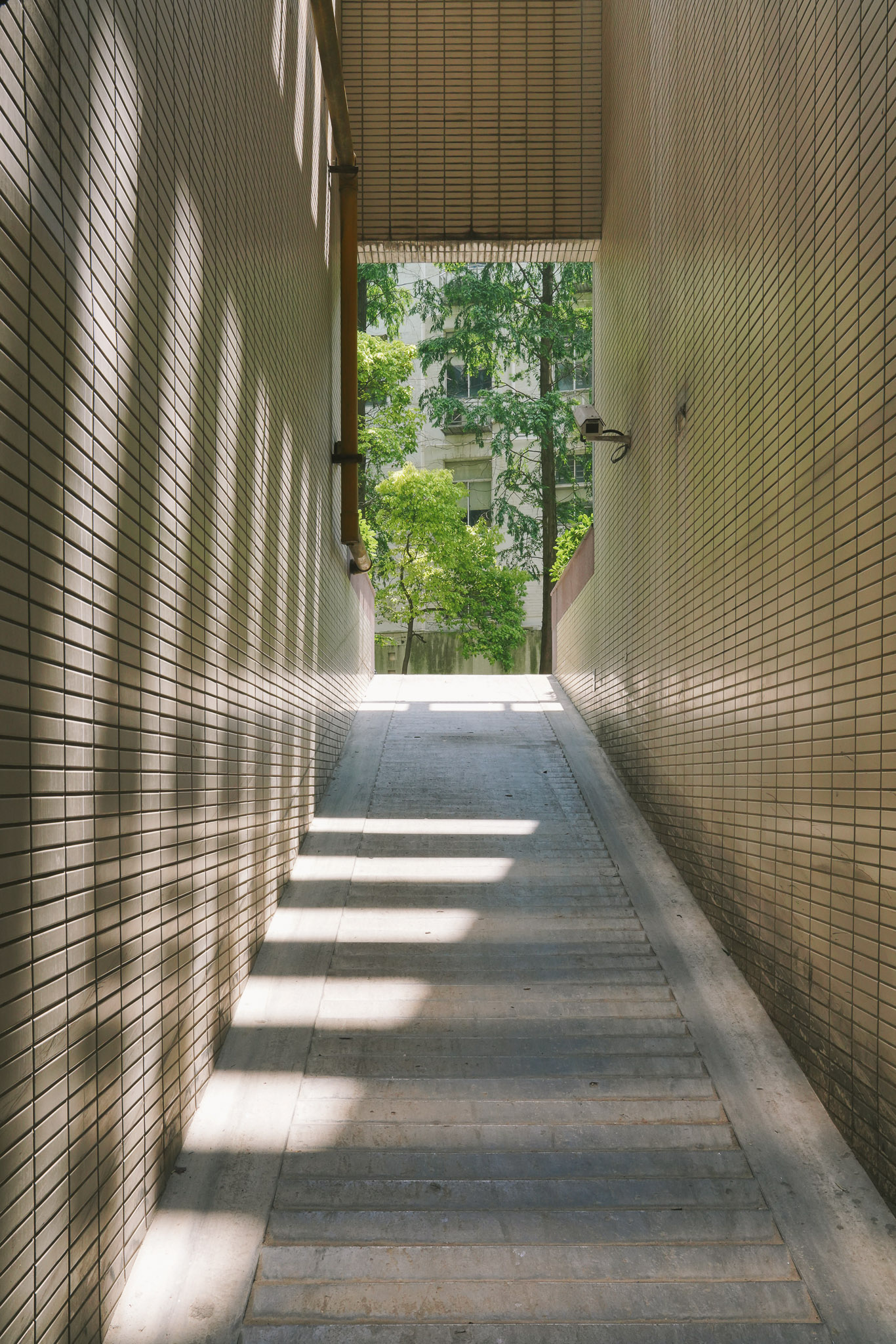 上海2021.3